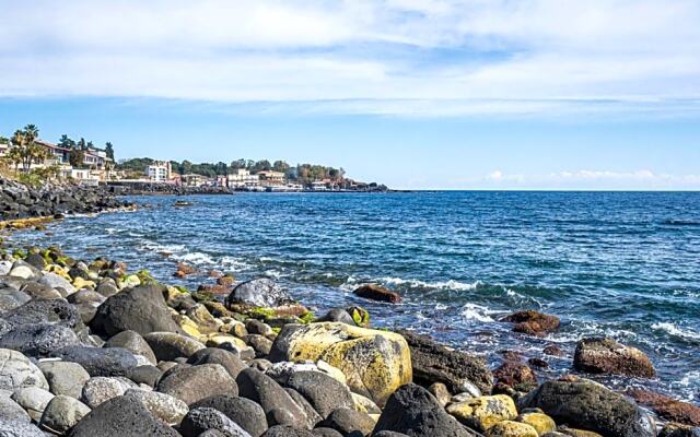 B&B Sea Terrace