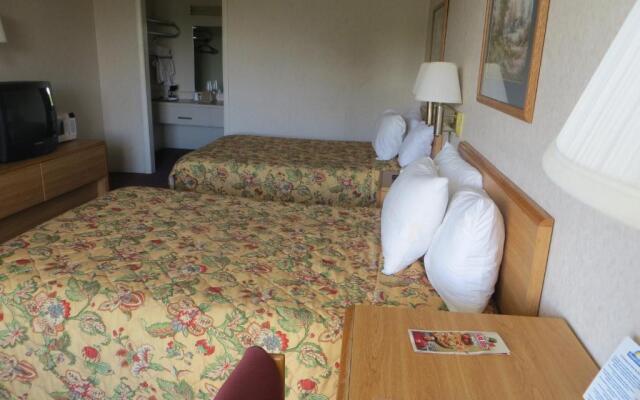 Knights Inn - Newport, TN