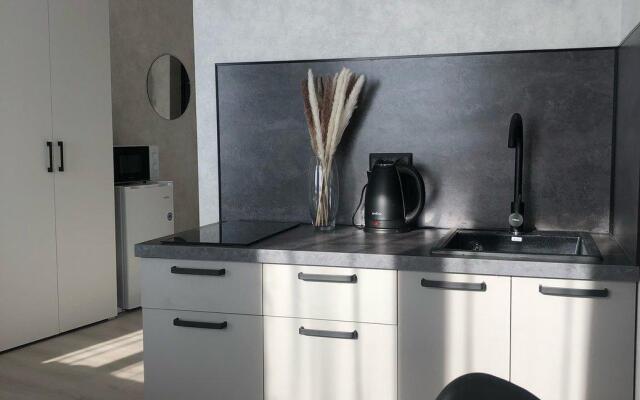 Апартаменты-студия на улице Карла Маркса 304Б