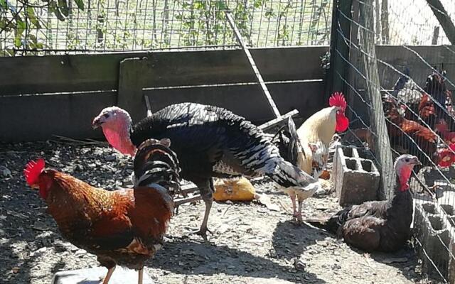 My Portugal for All - Lousada Villa