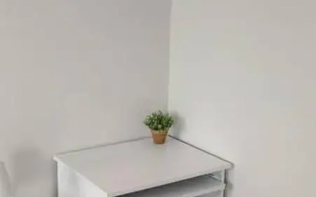 The Dekori Flat in Shkod r