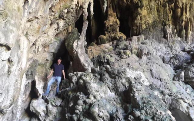 The Hillside Residence