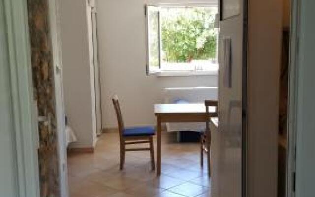 Studio Apartment Bosko