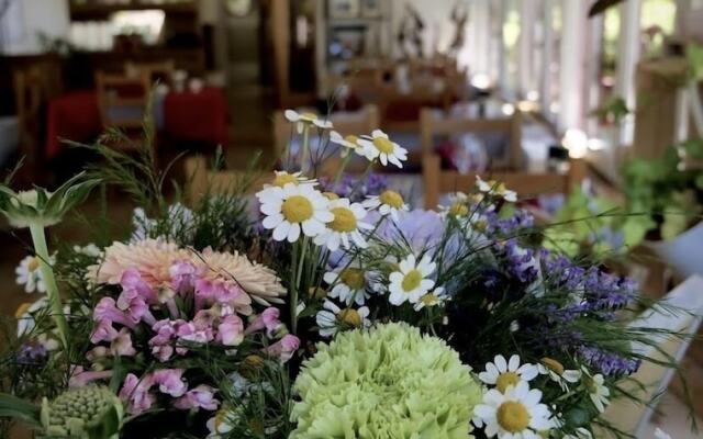 Caprice du Guiers la Joceane