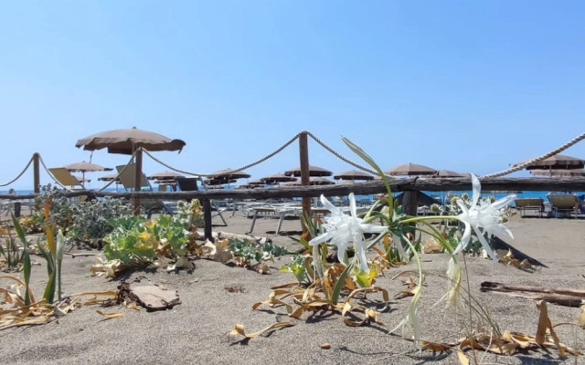 Maestrale Marina di Bibbona