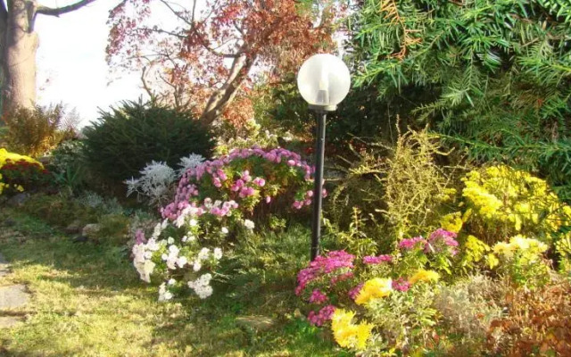 B&B Il Grillo Bianco