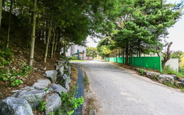 Wonju M