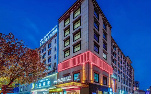 Suiton Plus By Paxton Linzhi