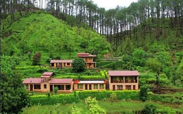 Perfectly Located Resort amidst Majkhali Woods