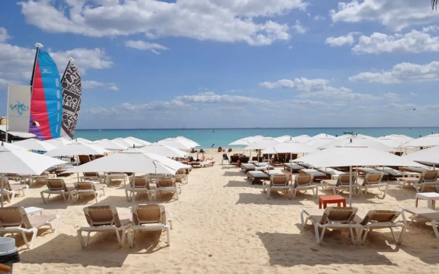 Pelicanos 203 by Vimex