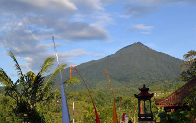 Jatiluwih 259 Villa
