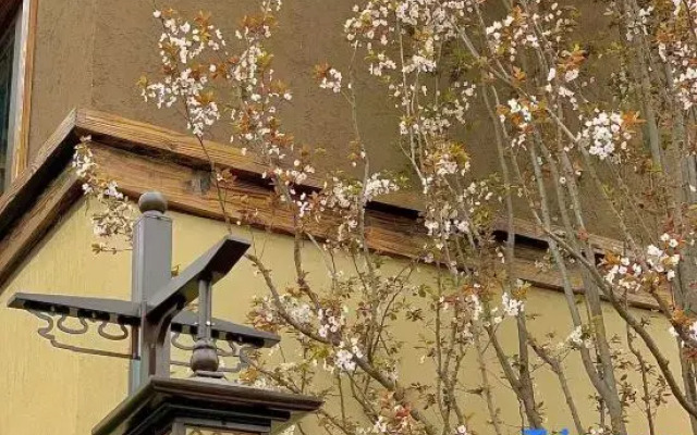 Mountain Lullaby Inn