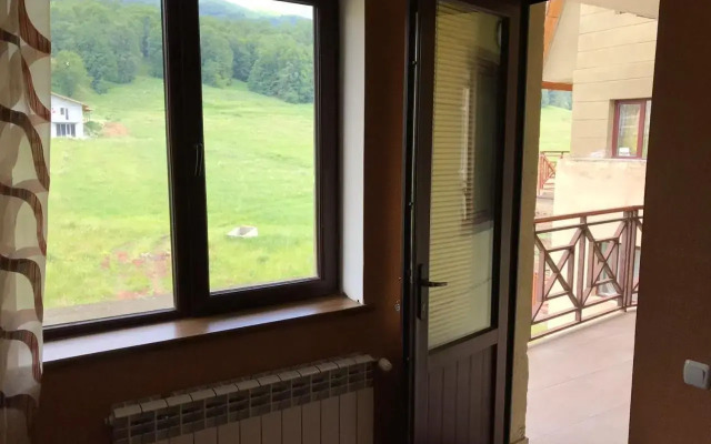 Bakuriani Hills Apartment