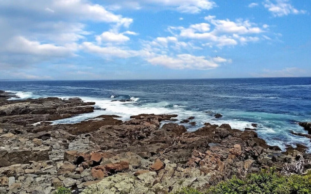Seacoast Sanctuary