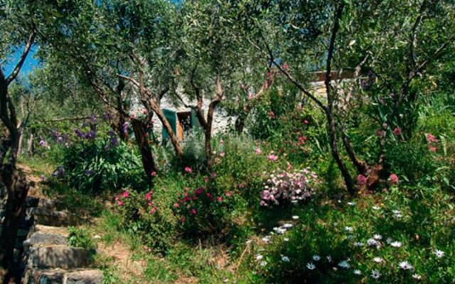 Delle Rose Home