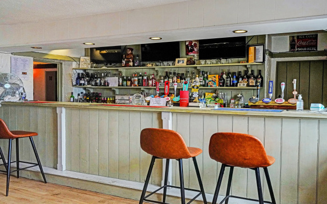 OYO The Billingford Horseshoes