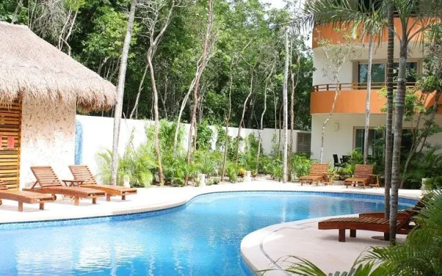 Sunny Forest Penthouse