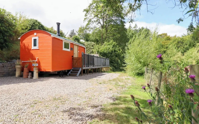 Red Kite at Wild Valley Huts