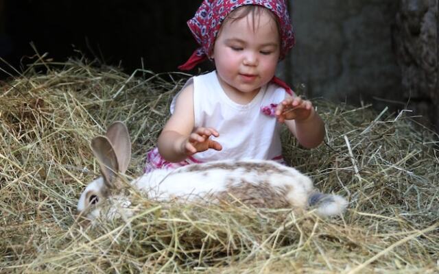 Cozy Apartment with Roof Terrace