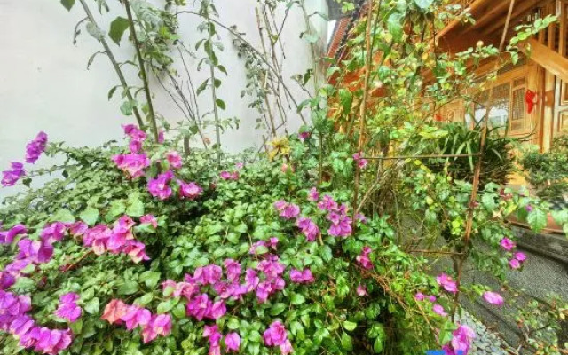Lijiang Wenfu Courtyard Inn
