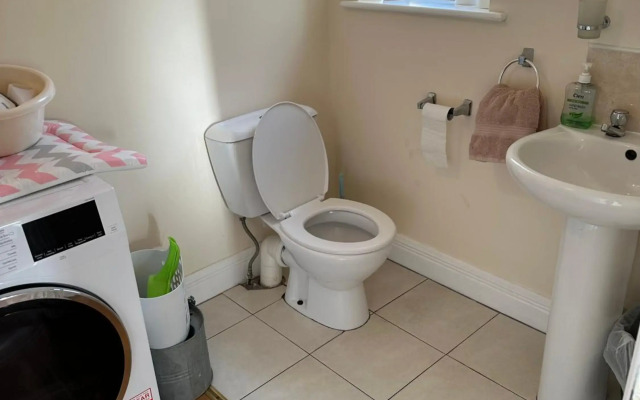 Home on the River Shannon