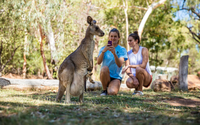 Discovery Resorts - Undara