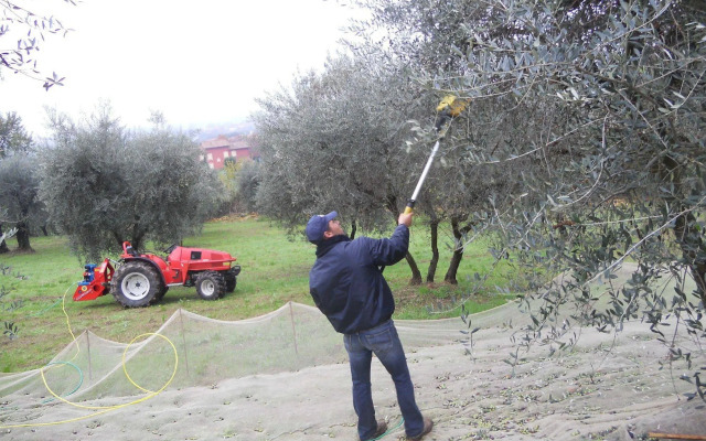Collina Toscana Resort