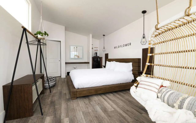 Zion Wildflower, BW Premier Collection