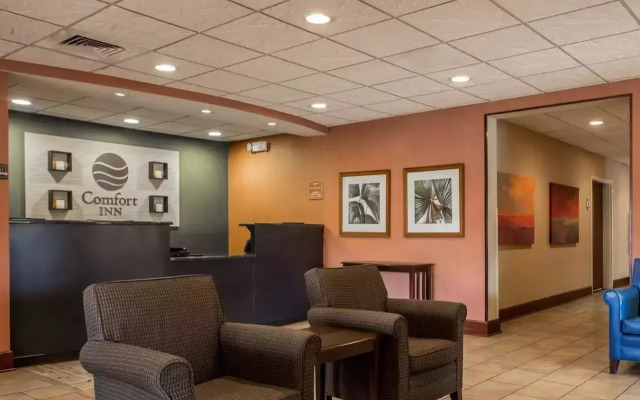 Comfort Inn & Suites Lumberton Central I-95