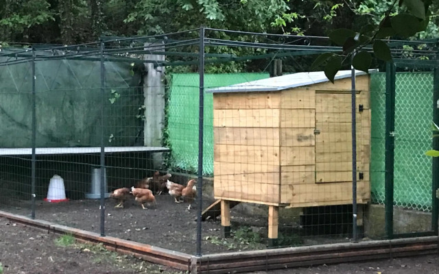 Cabana Monte do Castro