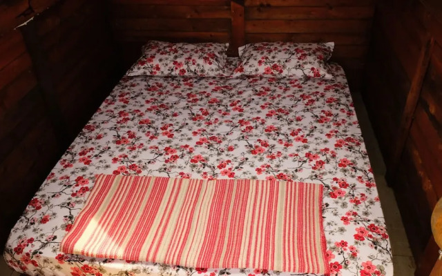 Teos Sanat Kampi