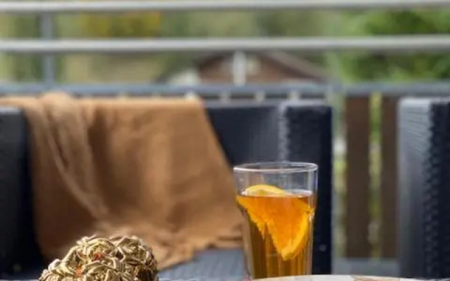 Luxury family apartment Engelberg