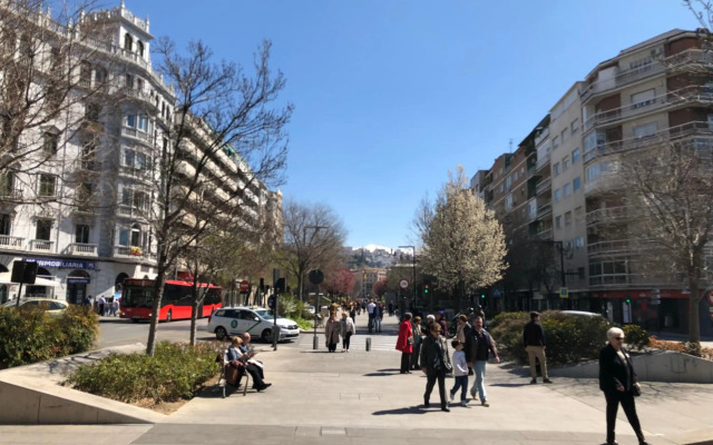 Constitución Suite Confort D