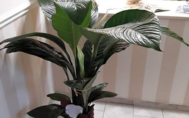A Casa Di Simona