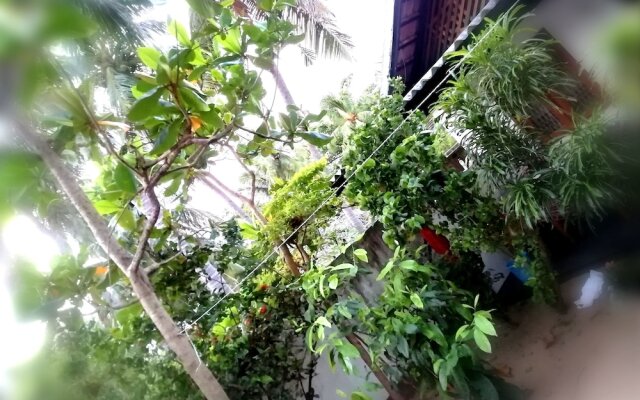 Bay Dream Beach Hotel