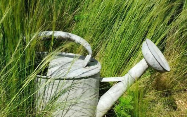 Les Gîtes de Keregal