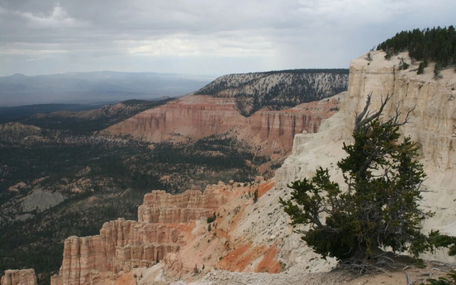 River Stone Inn & Gallery