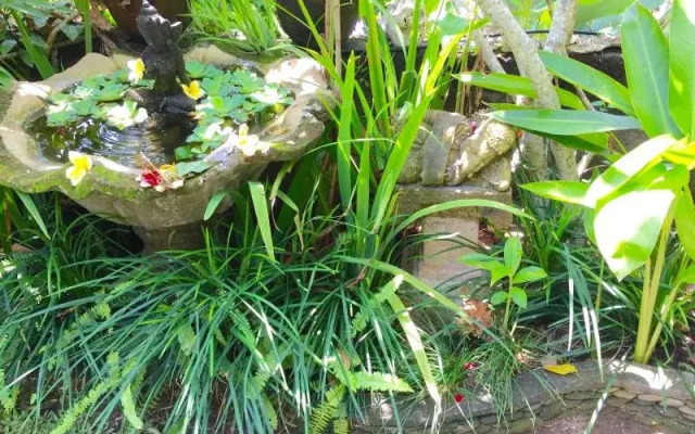 Eustace Place Bali