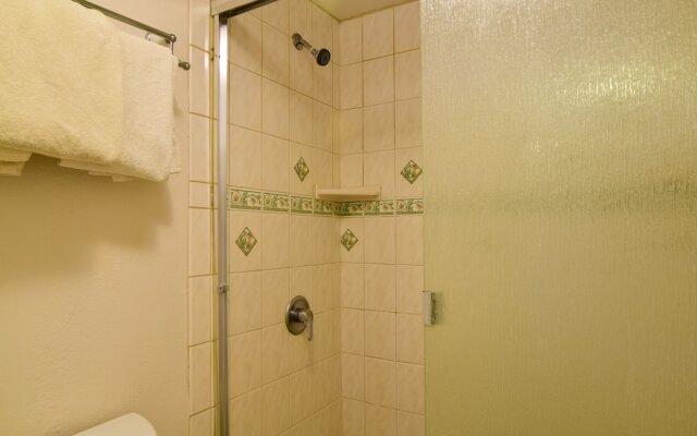 Napili Point C-12 - 2Br Condo