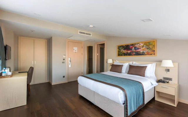 Molton Monapart Mecidiyekoy