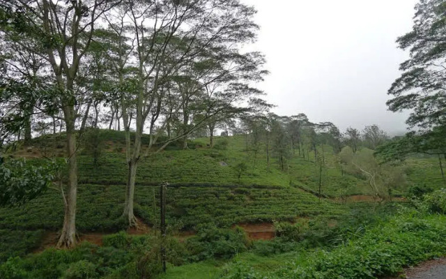 Misty Hills Bungalow