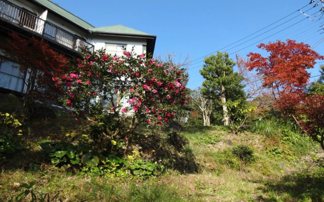 hotelImage