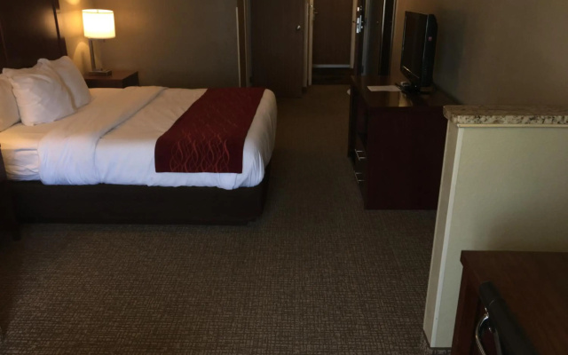 Comfort Inn Idaho Falls - фото 2