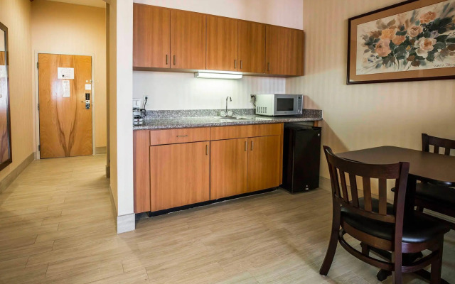 Comfort Suites Stafford Near Sugarland