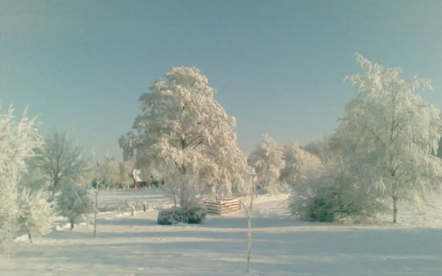 Gallery 1 Comfortable Holiday Residence