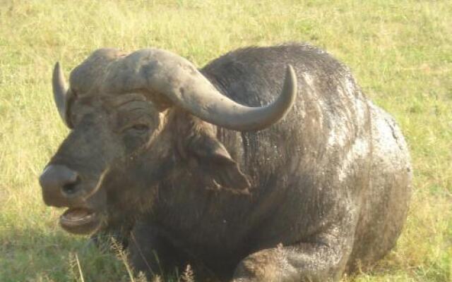 Sambiya River Lodge