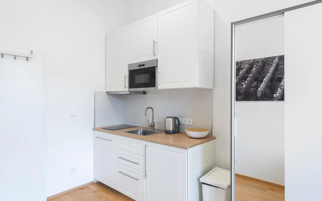 Residence Tesnov Apartment
