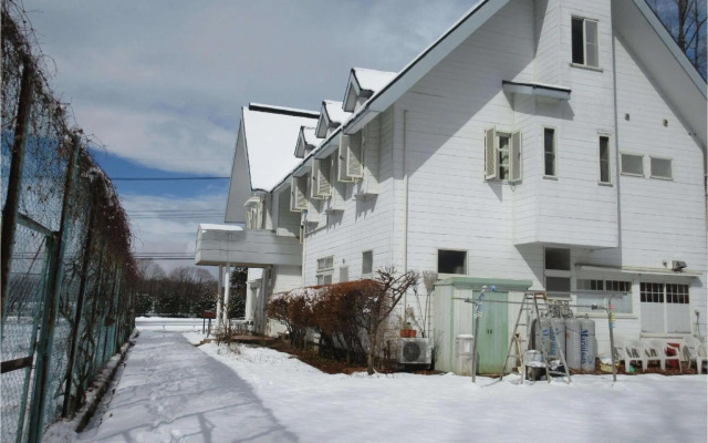 Pension White Clover