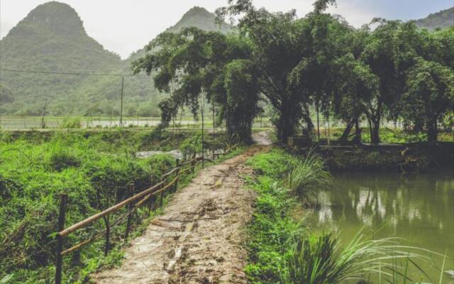 Tam Coc Rice Fields Resort