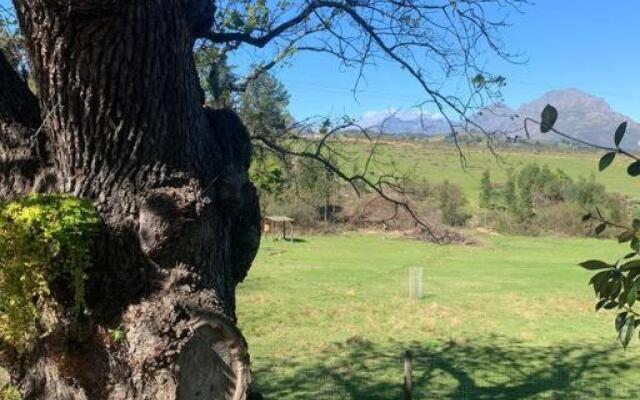 Wildlife Hideaway in the vineyards